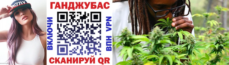 Конопля сатива  Купить где  Красногорск 